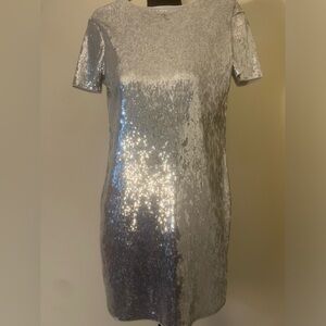 Express Silver Sequin Mini Dress